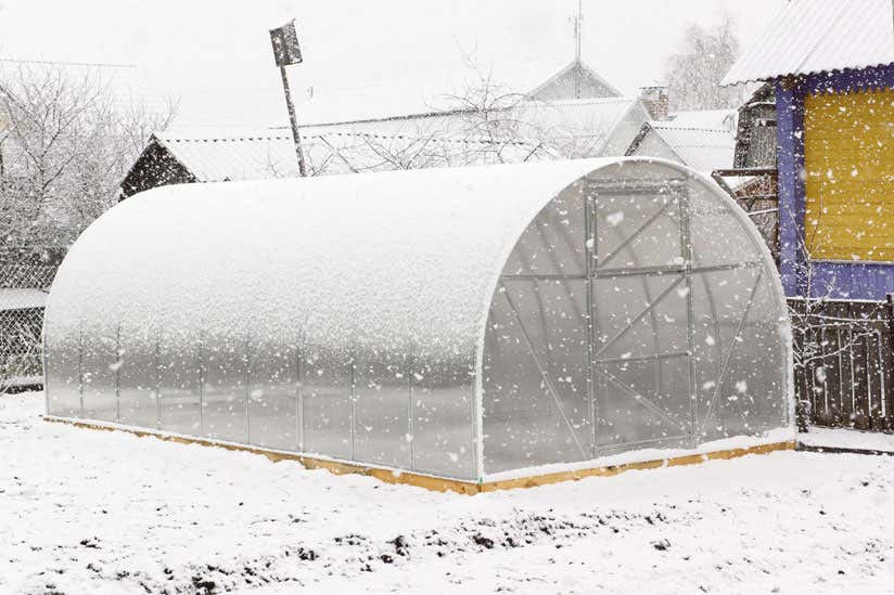 Greenhouse-in-winter